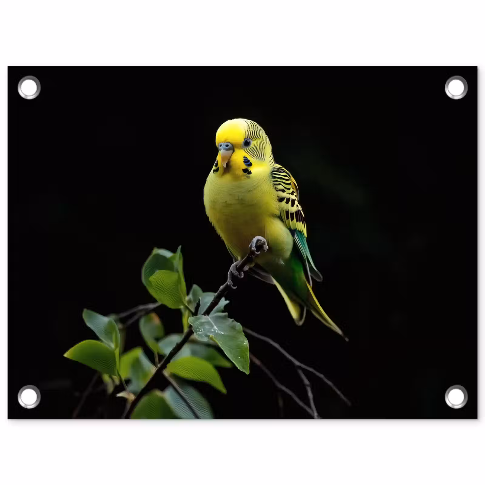 Tuinposter - Parkiet - Tak - Bladeren - Geel — 1