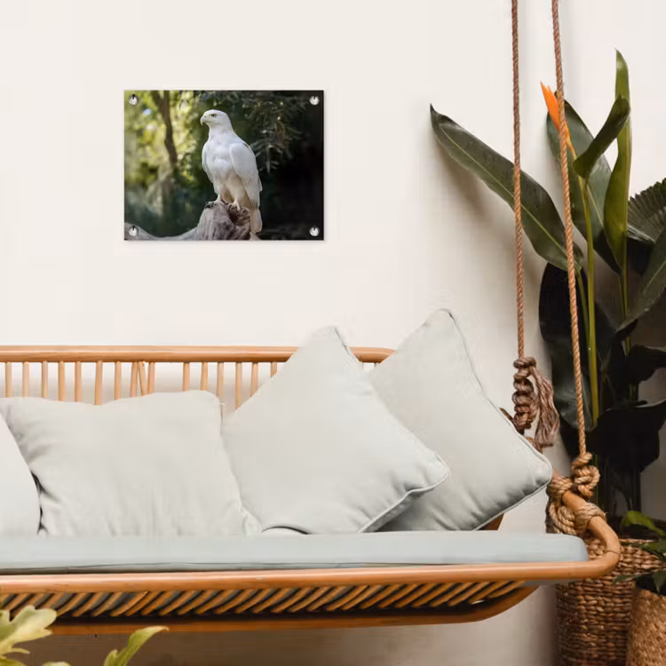 Tuinposter - Arend - Hout - Wit - Planten — 5