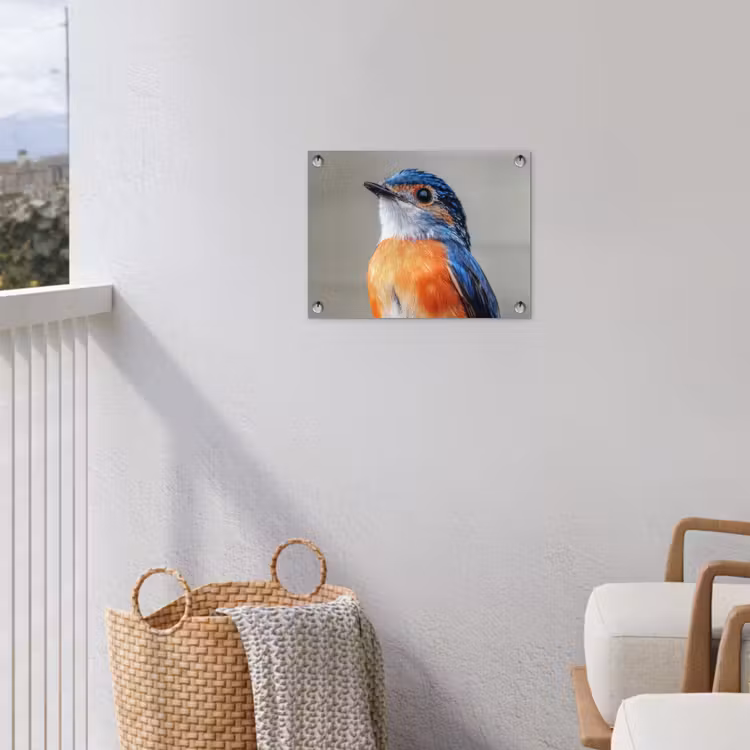Tuinposter - Kleurrijk - Vogeltje - Veren - Blauw — 3