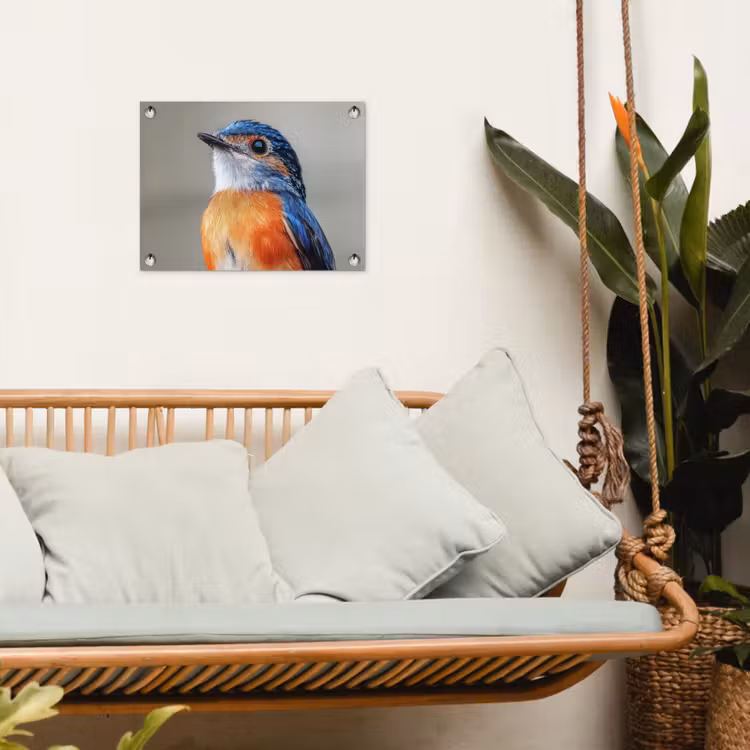 Tuinposter - Kleurrijk - Vogeltje - Veren - Blauw — 5
