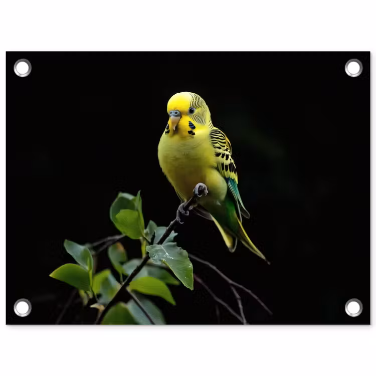 Tuinposter - Parkiet - Tak - Bladeren - Geel — 1