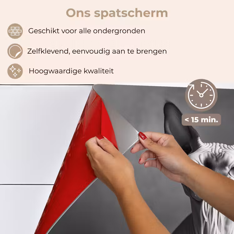 Spatscherm keuken - Sphynx - Kat - Dieren - Humor - Spaghetti - Zwart Wit — 4
