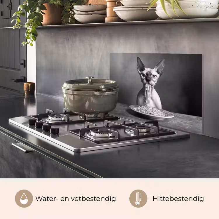 Spatscherm keuken - Sphynx - Kat - Dieren - Humor - Spaghetti - Zwart Wit — 7