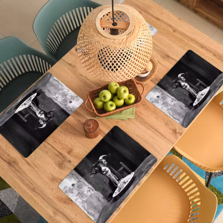 Placemat - 6 stuks - Geit - Bord - Spaghetti - Zwart Wit — 6