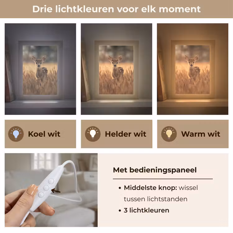Tafellamp - Hert - Graanveld - Bruin — 6