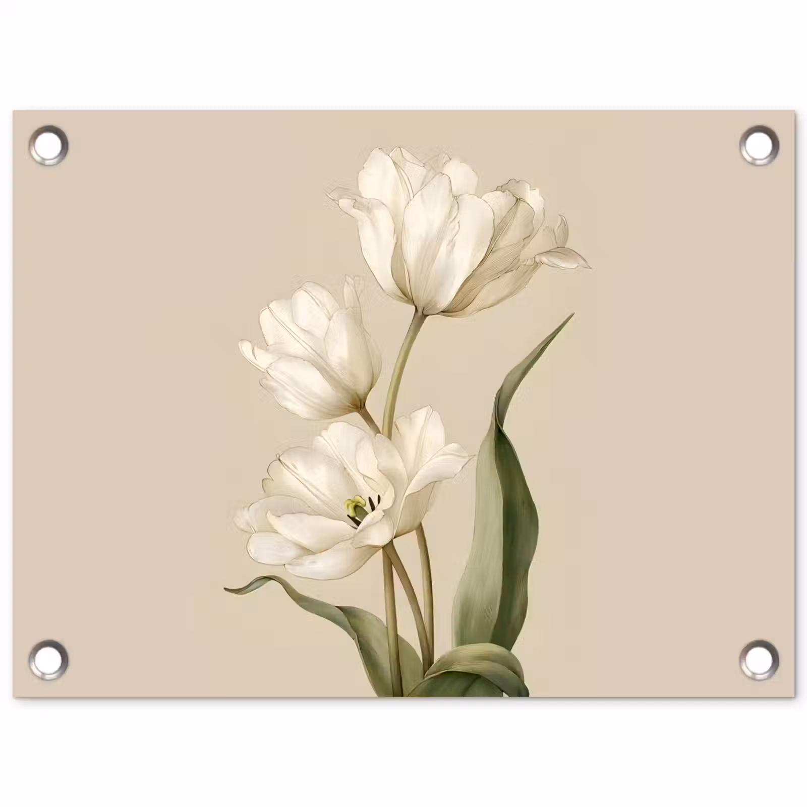 Tuinposter - Tulpen - Wit - Bladeren — 1