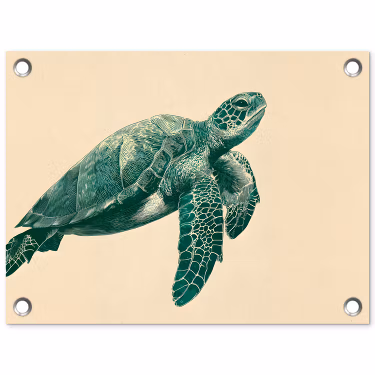 Tuinposter - Schildpad - Sierlijk - Groen - Schild — 1