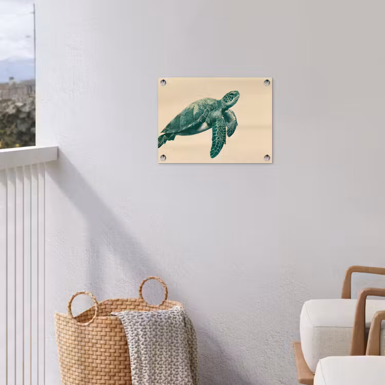 Tuinposter - Schildpad - Sierlijk - Groen - Schild — 3