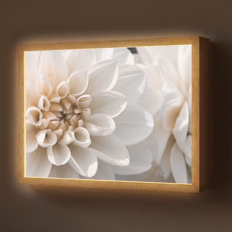 Lightbox - Wandlamp - Bloemen - Wit - Natuur — 1