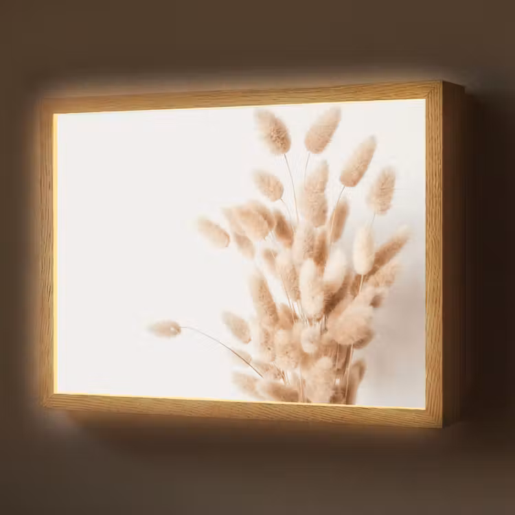 Lightbox - Wandlamp - Pampasgras - Pluim - Wit - Beige