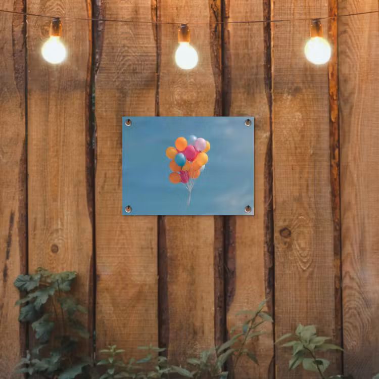 Tuinposter - Ballonnen - Kleurrijk - Heldere hemel — 2