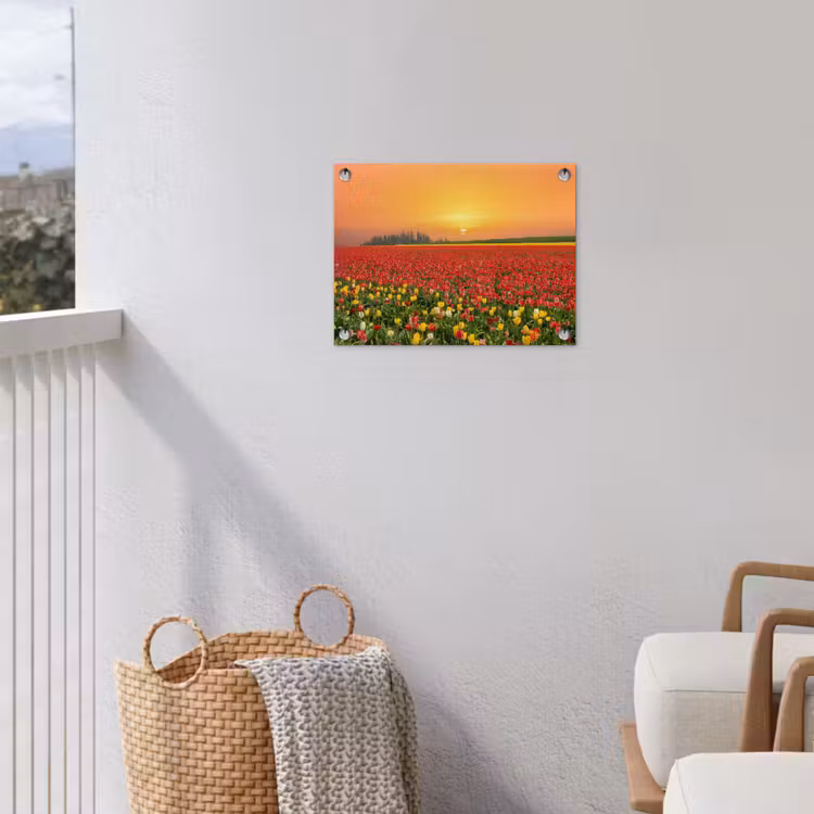 Tuinposter - Bloemen - Landschap - Tulpen - Zonsondergang — 3