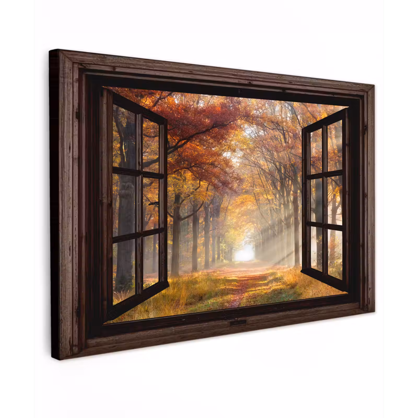 Buiten canvas - Herfst - Bos - Bomen - Natuur - Doorkijk — 1
