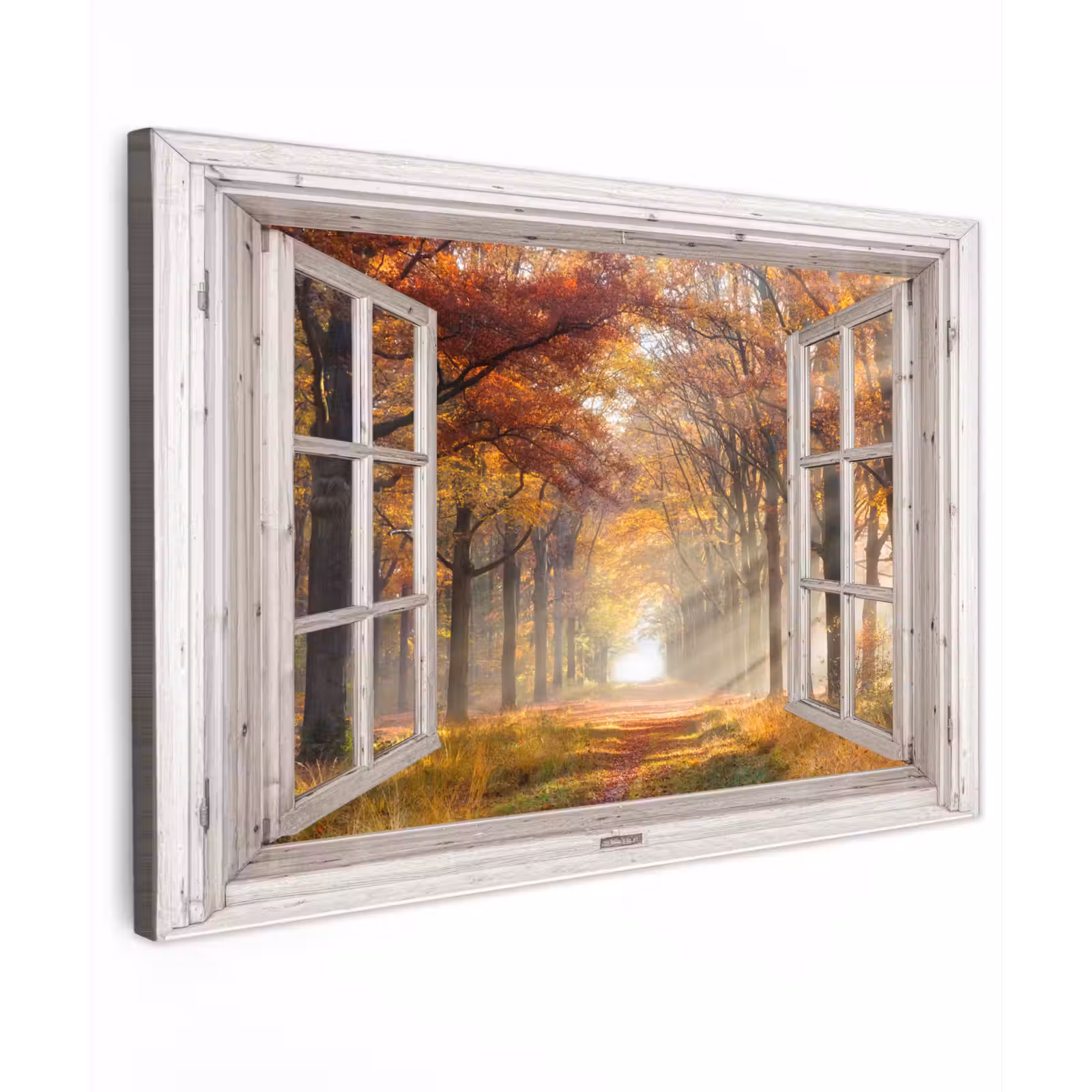 Buiten canvas - Herfst - Bos - Bomen - Natuur - Doorkijk — 1