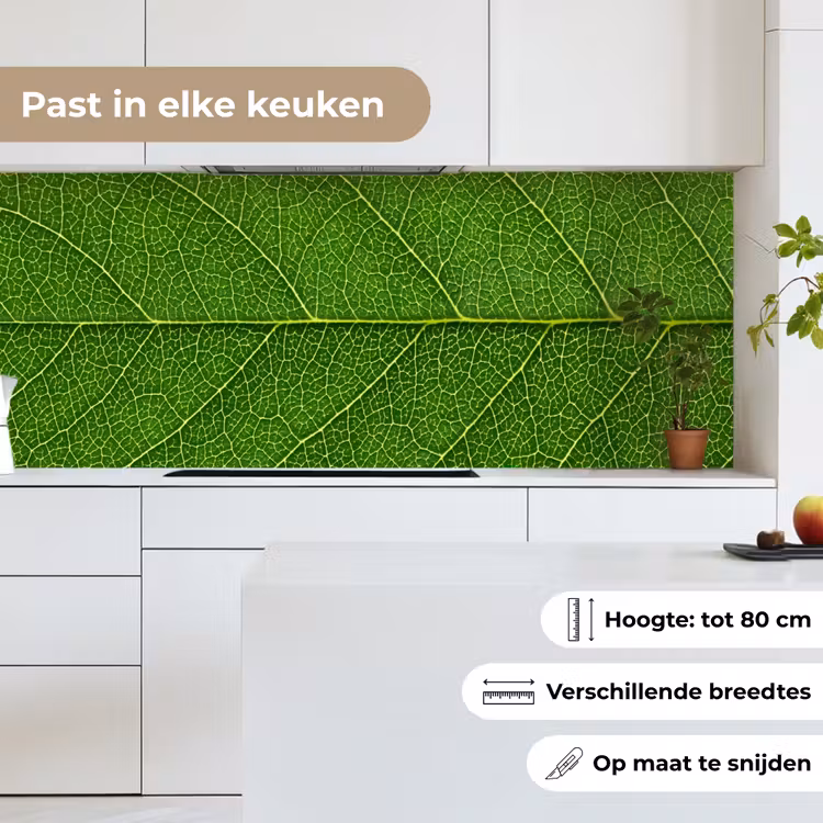 Keuken achterwand - Natuur - Blad - Groen — 4