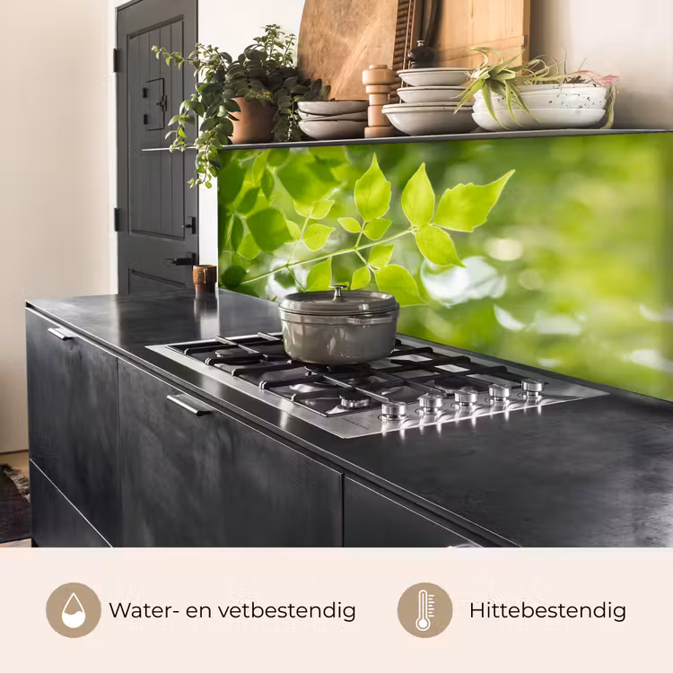 Keuken achterwand - Natuur - Lente - Groen - Bladeren — 3
