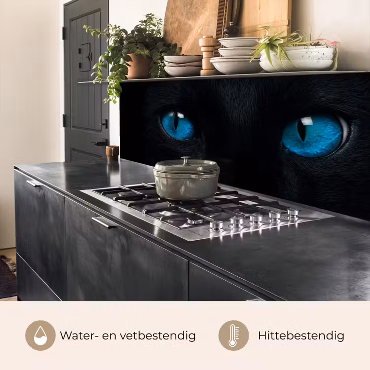 Keuken achterwand - Kat - Blauw - Dier - Zwart — 3