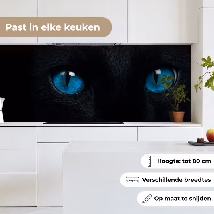 Keuken achterwand - Kat - Blauw - Dier - Zwart — 4