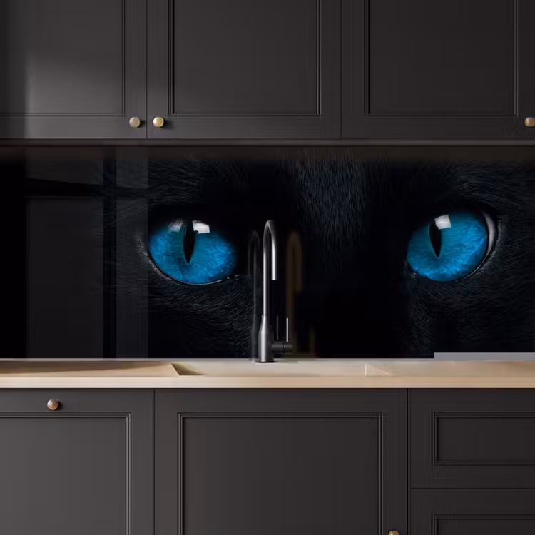 Keuken achterwand - Kat - Blauw - Dier - Zwart — 6
