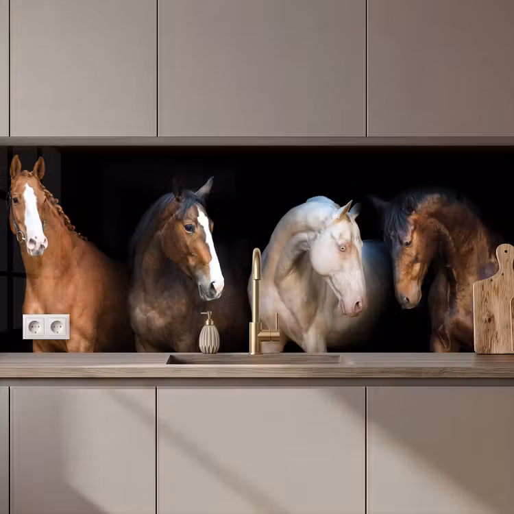 Keuken achterwand - Paard - Dieren - Zwart — 1