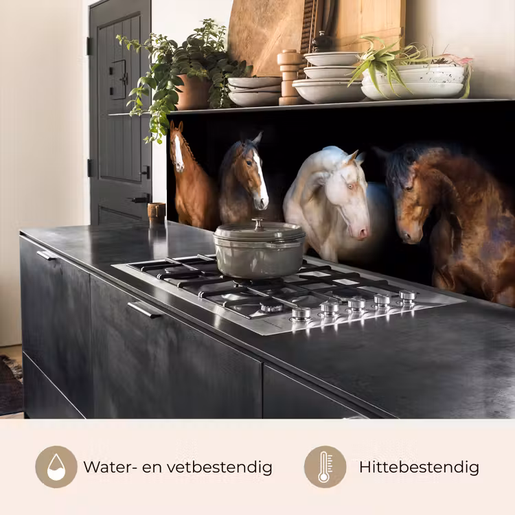 Keuken achterwand - Paard - Dieren - Zwart — 3