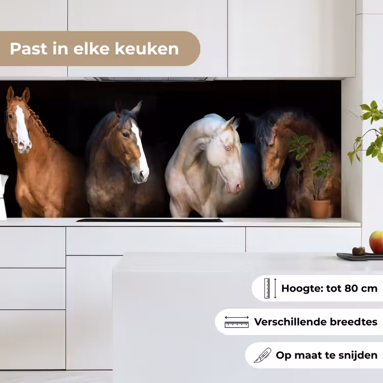 Keuken achterwand - Paard - Dieren - Zwart — 4
