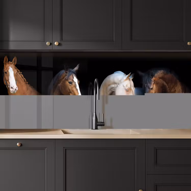 Keuken achterwand - Paard - Dieren - Zwart — 6