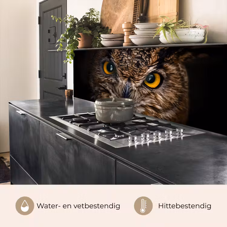 Keuken achterwand - Uil - Dier - Oranje — 3