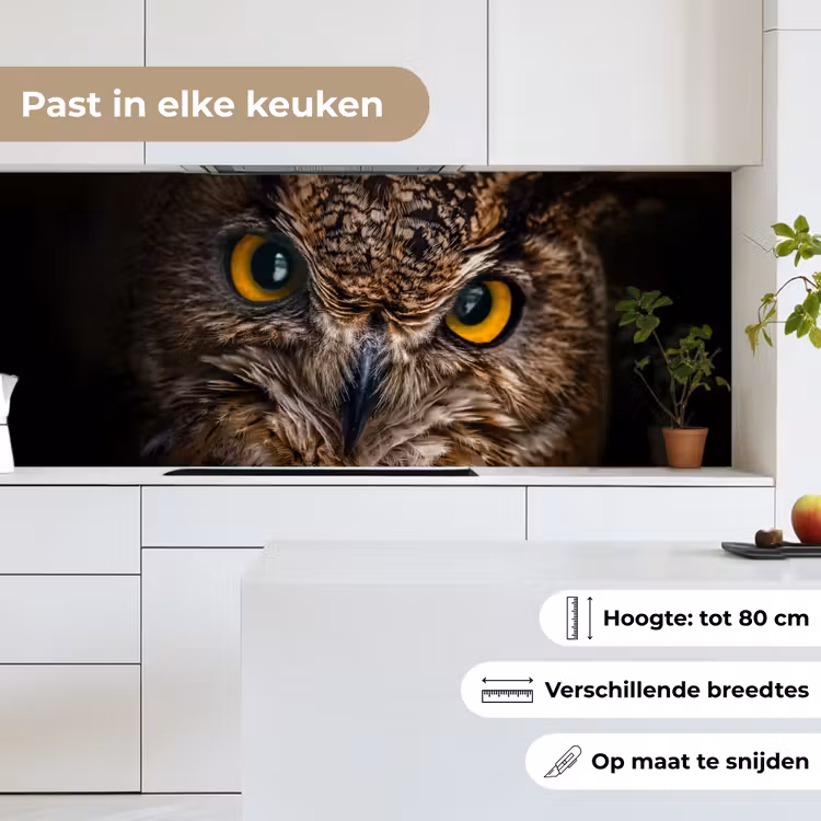 Keuken achterwand - Uil - Dier - Oranje — 4