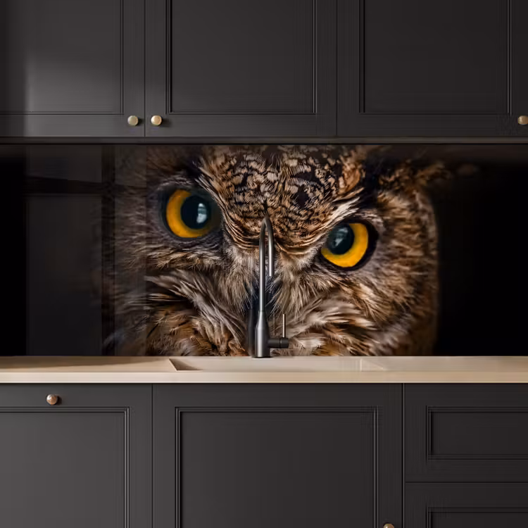 Keuken achterwand - Uil - Dier - Oranje — 6