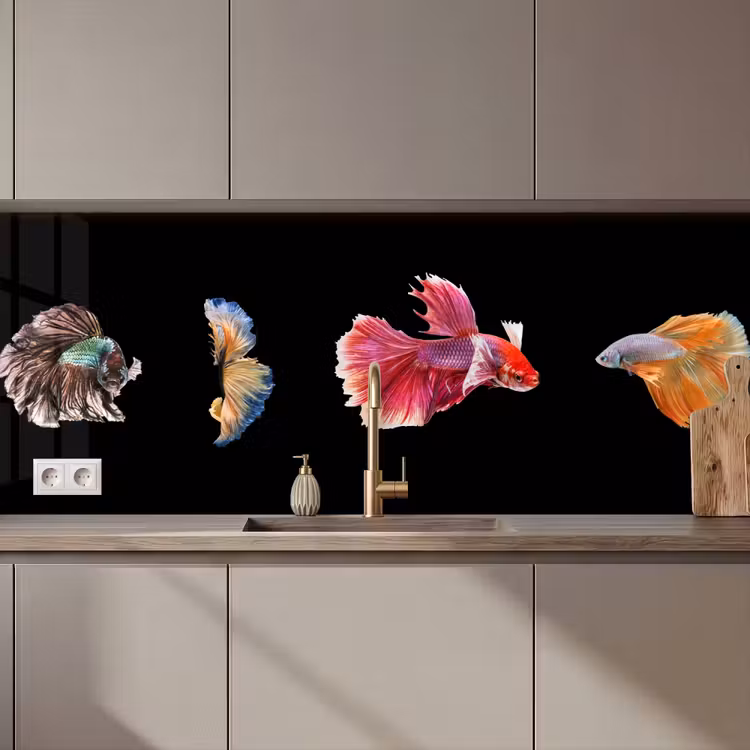 Keuken achterwand - Vissen - Kleurrijk - Dieren — 1