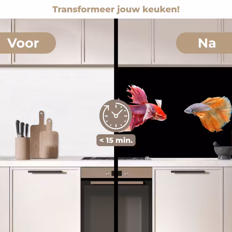 Keuken achterwand - Vissen - Kleurrijk - Dieren — 2