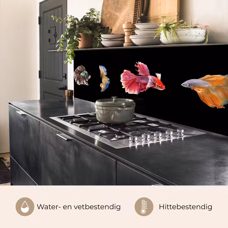 Keuken achterwand - Vissen - Kleurrijk - Dieren — 3