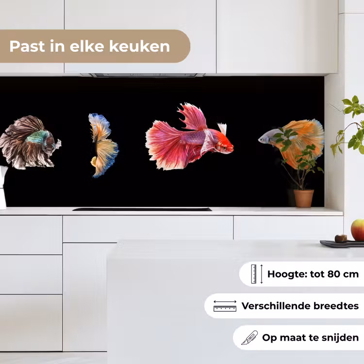 Keuken achterwand - Vissen - Kleurrijk - Dieren — 4