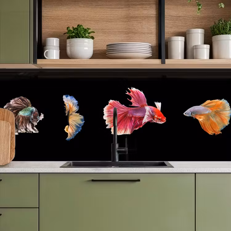 Keuken achterwand - Vissen - Kleurrijk - Dieren — 5