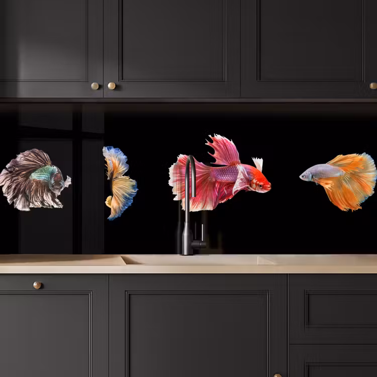 Keuken achterwand - Vissen - Kleurrijk - Dieren — 6