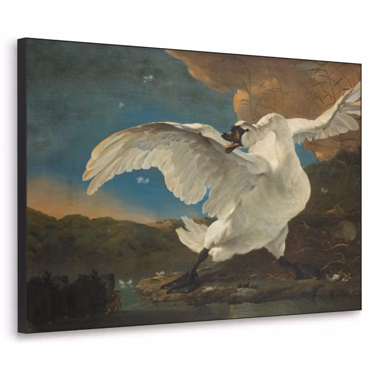 Art Frame - Zwaan - Oude meesters - Jan Asselijn — 1