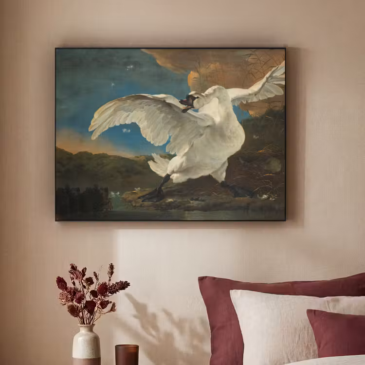 Art Frame - Zwaan - Oude meesters - Jan Asselijn — 3