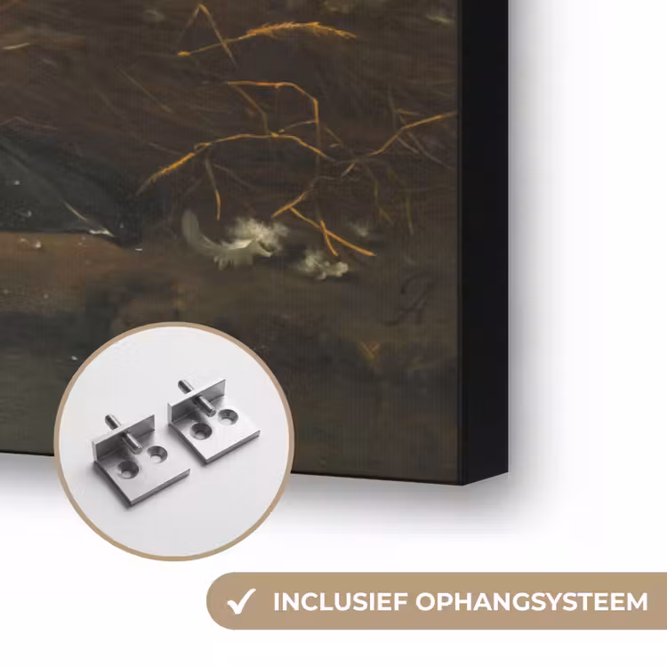 Art Frame - Zwaan - Oude meesters - Jan Asselijn — 6