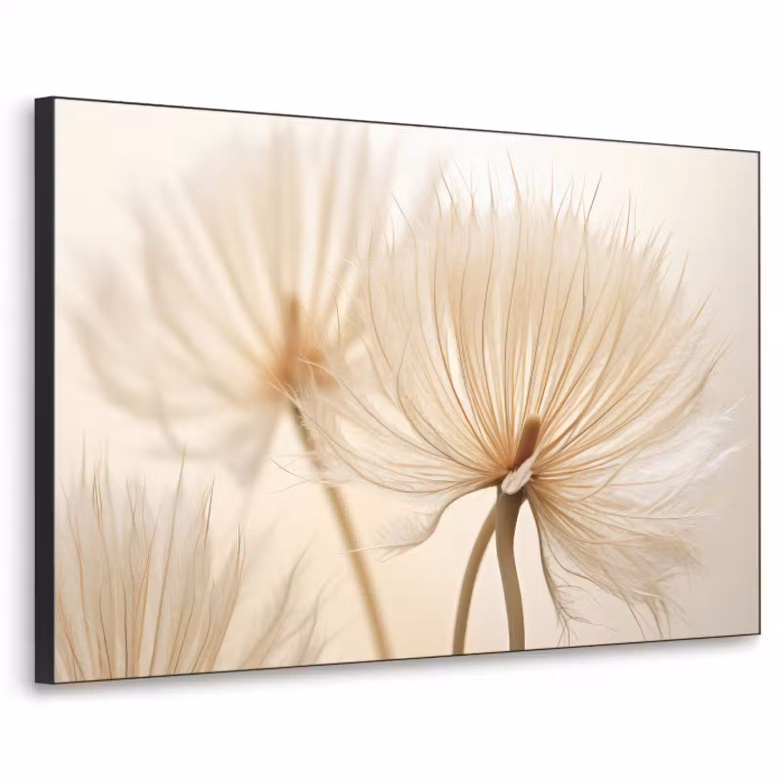 Art Frame - Bloemen - Beige - Natuur — 1