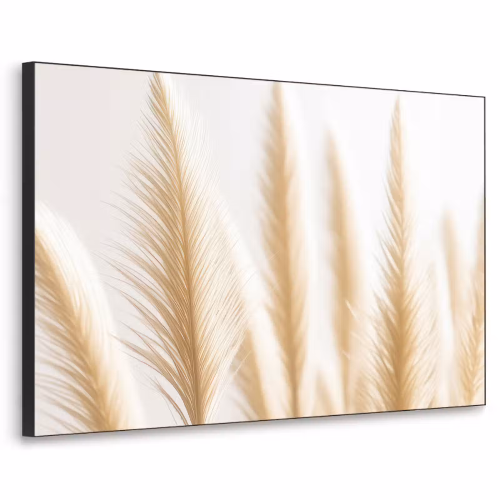 Art Frame - Pampas gras - Pluimen - Beige - Natuur — 1