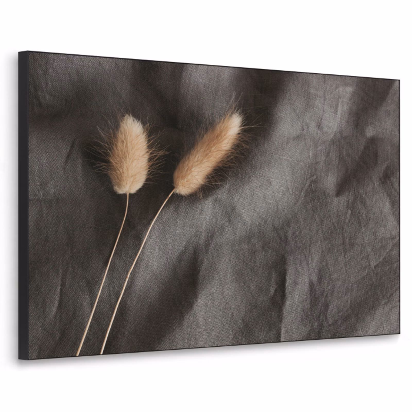 Art Frame - Pampasgras - Pluim - Zwart - Beige — 1