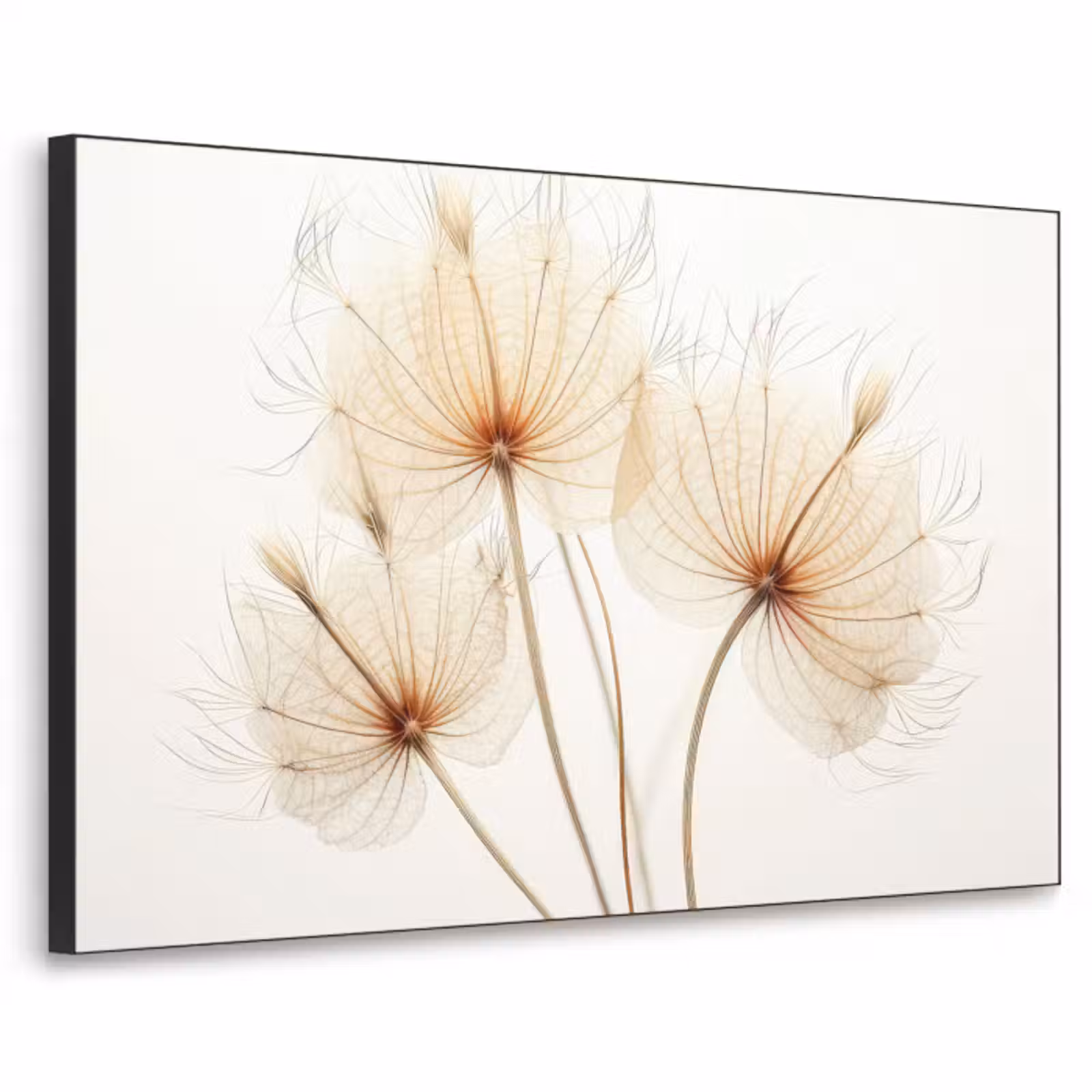 Art Frame - Zonlicht - Paardenbloemen - Natuur - Botanisch — 1