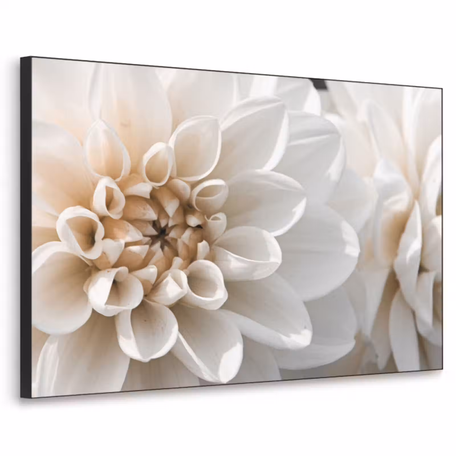 Art Frame - Bloemen - Wit - Natuur — 1