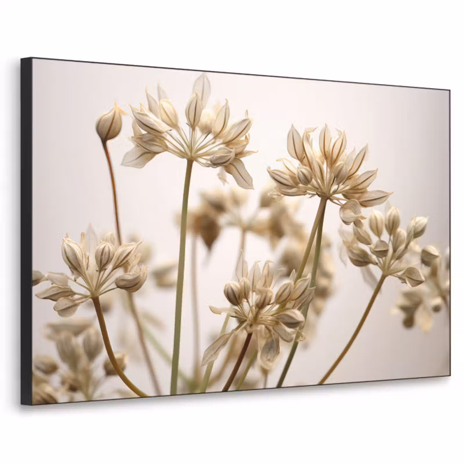 Art Frame - Droogbloemen - Beige - Wit - Planten — 1