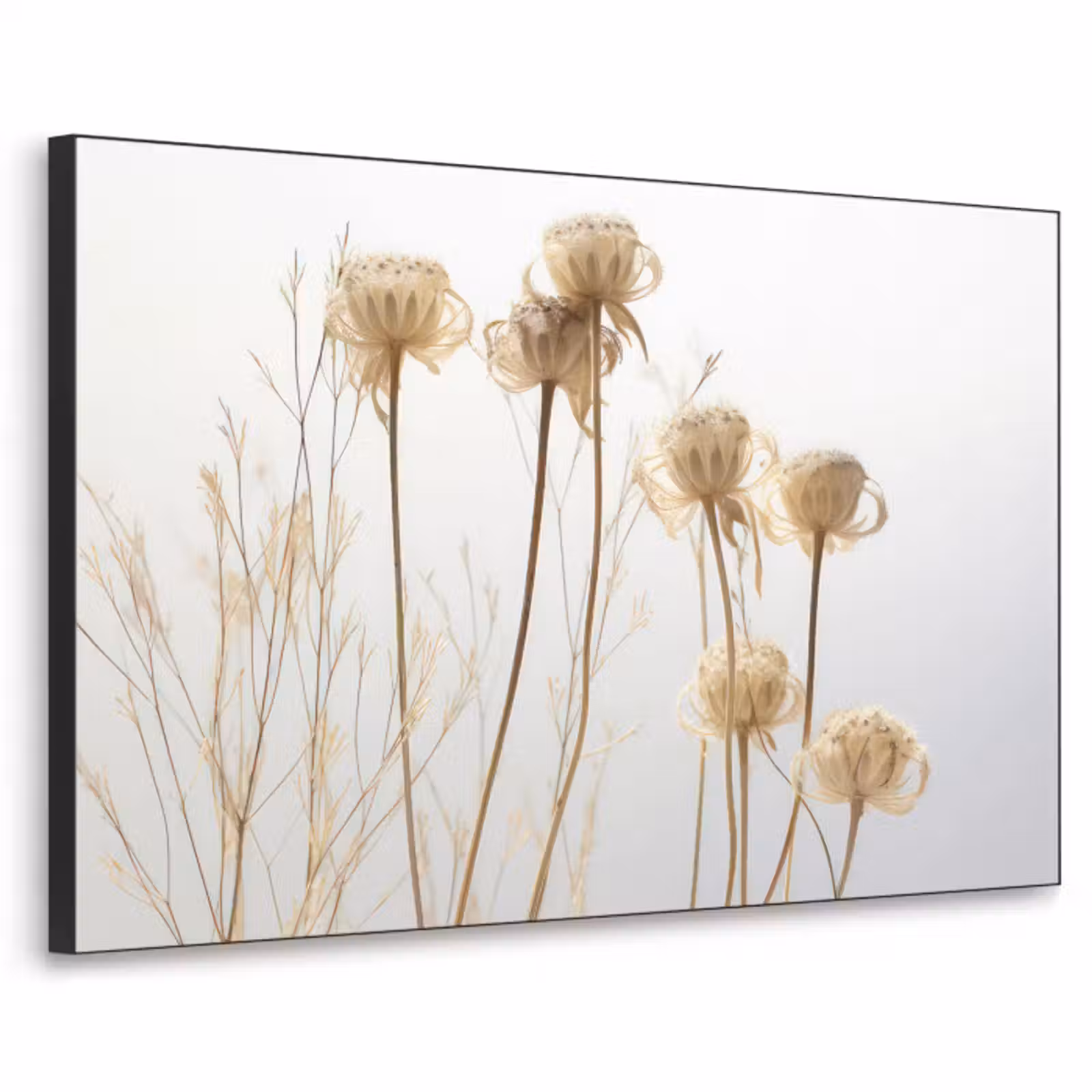 Art Frame - Droogbloemen - Natuur - Botanisch — 1