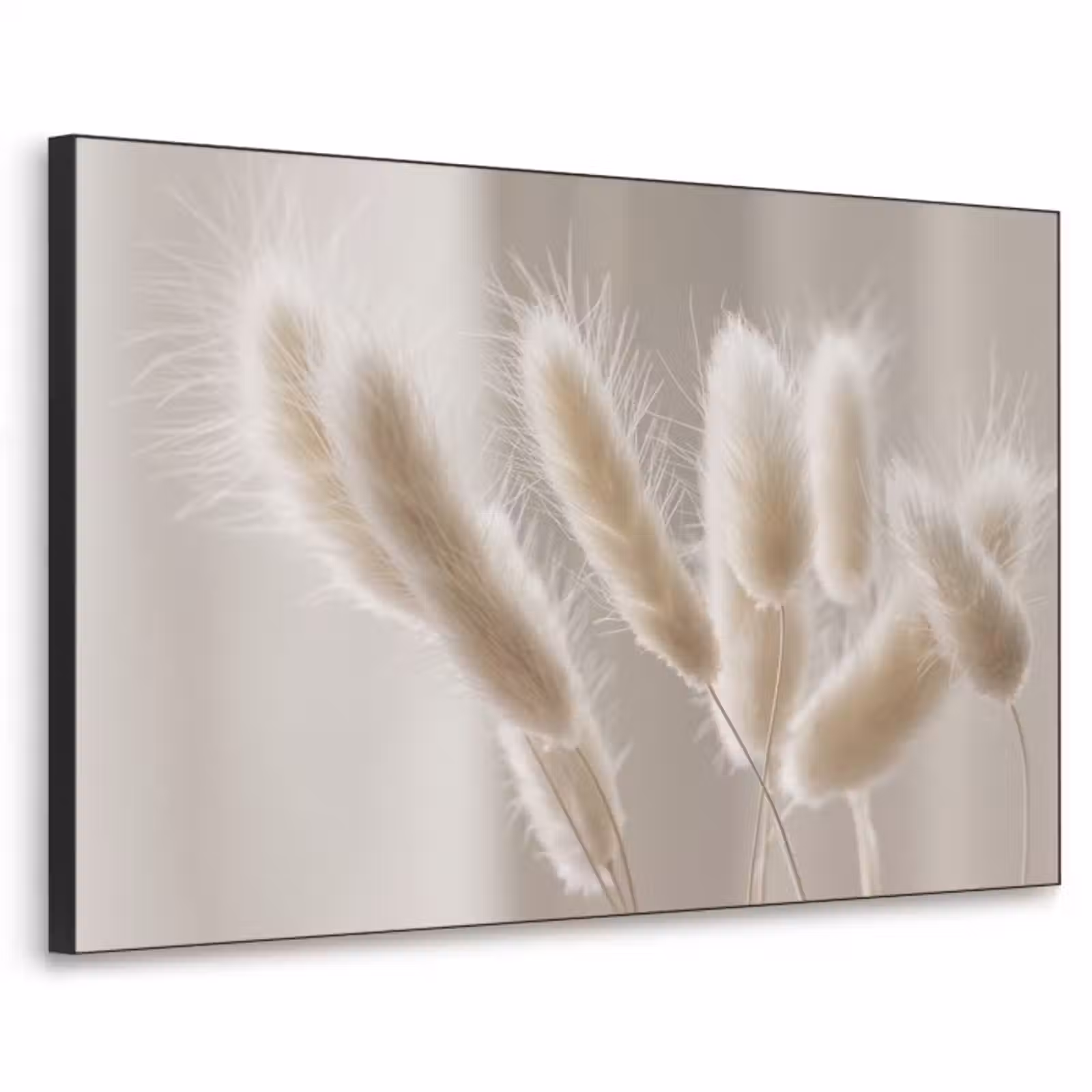 Art Frame - Pampasgras - Pluim - Wit — 1