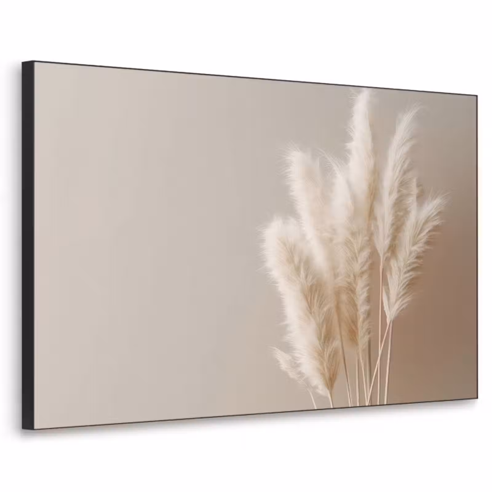 Art Frame - Pampasgras - Pluimen - Pastel - Wit — 1