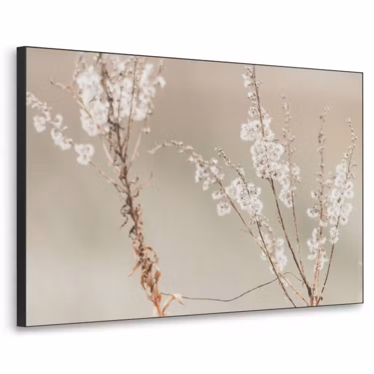 Art Frame - Bloemen - Wit - Planten — 1