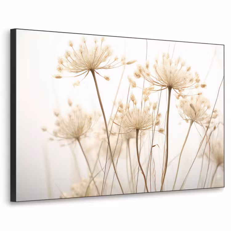 Art Frame - Bloemen - Wit - Zonlicht — 1
